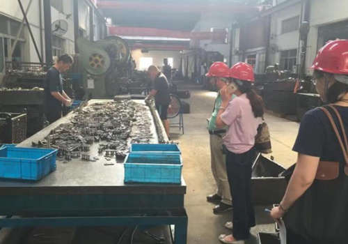 Inspection of Sinopec No. 4 Machinery Plant